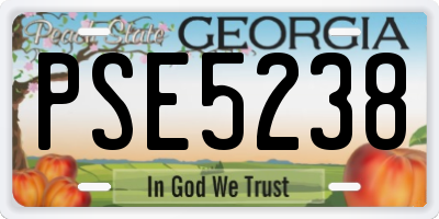 GA license plate PSE5238