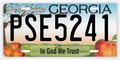 GA license plate PSE5241