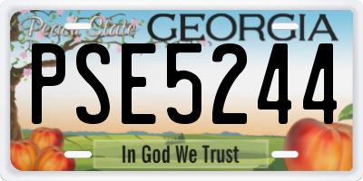 GA license plate PSE5244