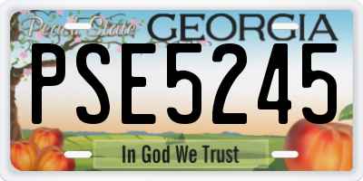 GA license plate PSE5245