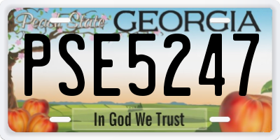 GA license plate PSE5247