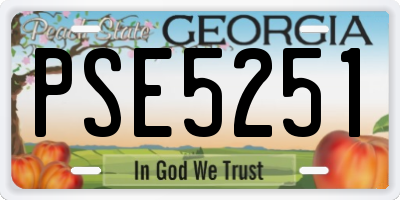 GA license plate PSE5251