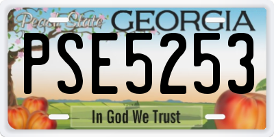 GA license plate PSE5253
