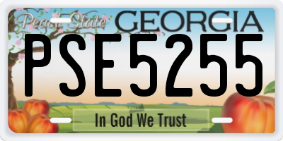GA license plate PSE5255
