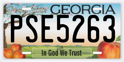 GA license plate PSE5263