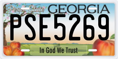 GA license plate PSE5269