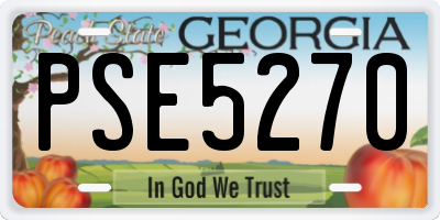 GA license plate PSE5270
