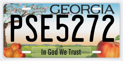 GA license plate PSE5272