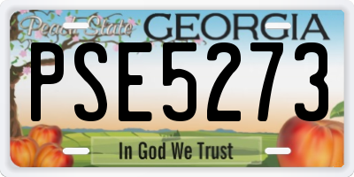 GA license plate PSE5273