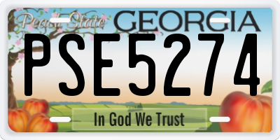 GA license plate PSE5274