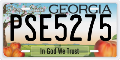 GA license plate PSE5275