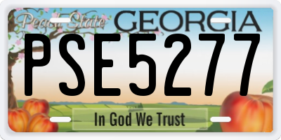 GA license plate PSE5277