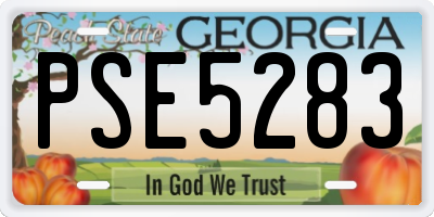 GA license plate PSE5283