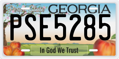 GA license plate PSE5285