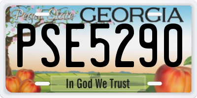 GA license plate PSE5290