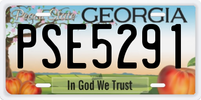 GA license plate PSE5291
