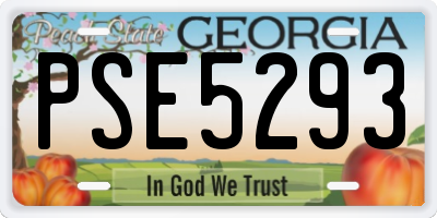 GA license plate PSE5293