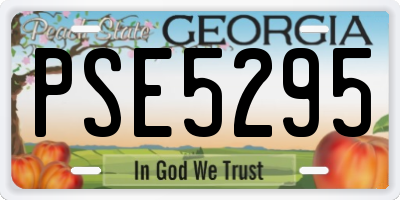 GA license plate PSE5295