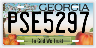 GA license plate PSE5297