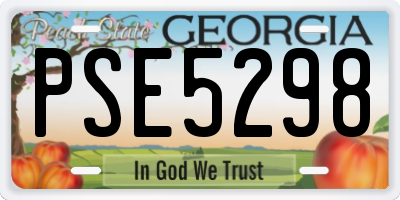 GA license plate PSE5298