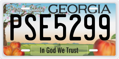 GA license plate PSE5299