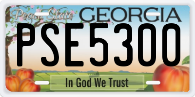 GA license plate PSE5300