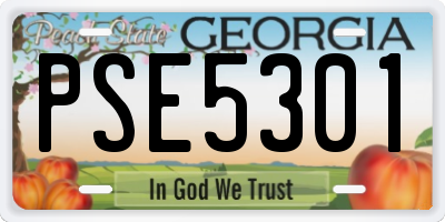 GA license plate PSE5301