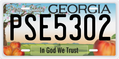 GA license plate PSE5302