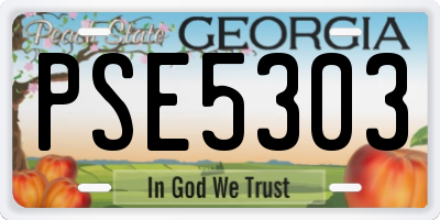 GA license plate PSE5303