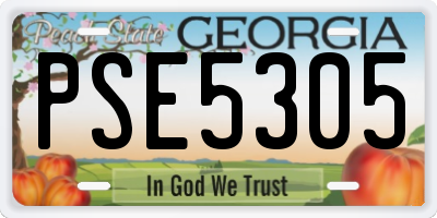GA license plate PSE5305