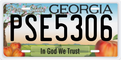 GA license plate PSE5306