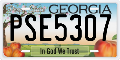 GA license plate PSE5307