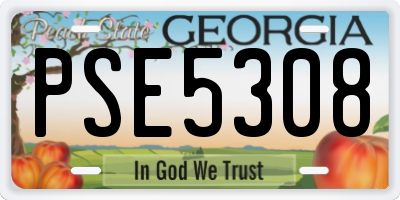 GA license plate PSE5308