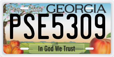 GA license plate PSE5309