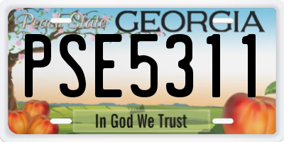 GA license plate PSE5311