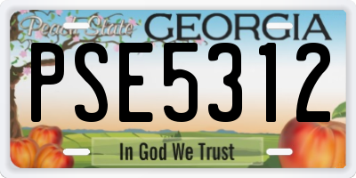 GA license plate PSE5312