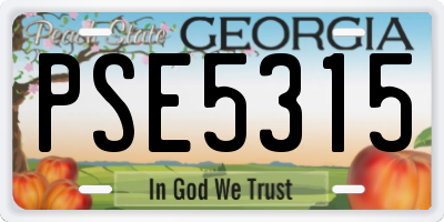GA license plate PSE5315
