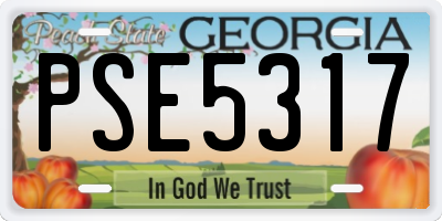 GA license plate PSE5317