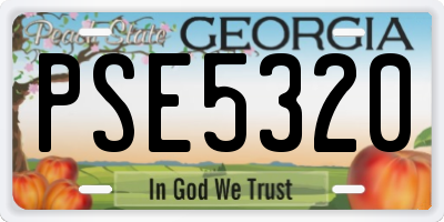 GA license plate PSE5320