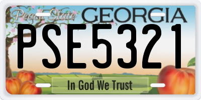 GA license plate PSE5321