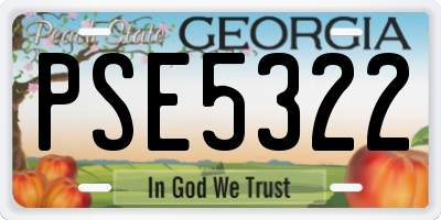 GA license plate PSE5322