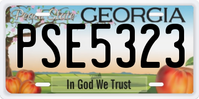 GA license plate PSE5323