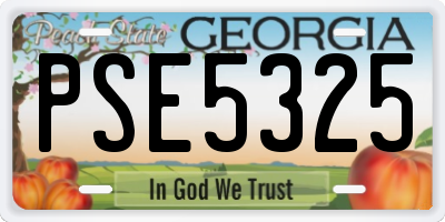 GA license plate PSE5325