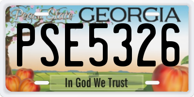 GA license plate PSE5326
