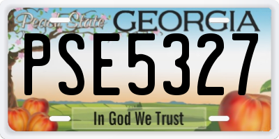 GA license plate PSE5327