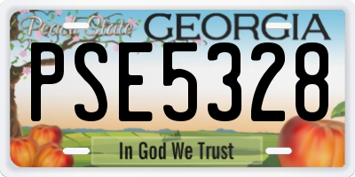 GA license plate PSE5328