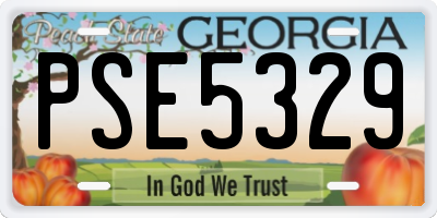 GA license plate PSE5329