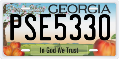 GA license plate PSE5330