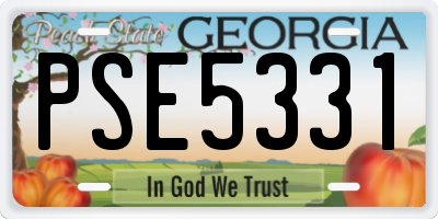 GA license plate PSE5331