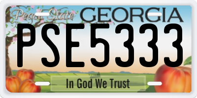 GA license plate PSE5333